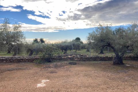 Finca i El Perello, Tarragona, El Perello - € 77.000 | Ref: Finca Manu Ampo - foto 15
